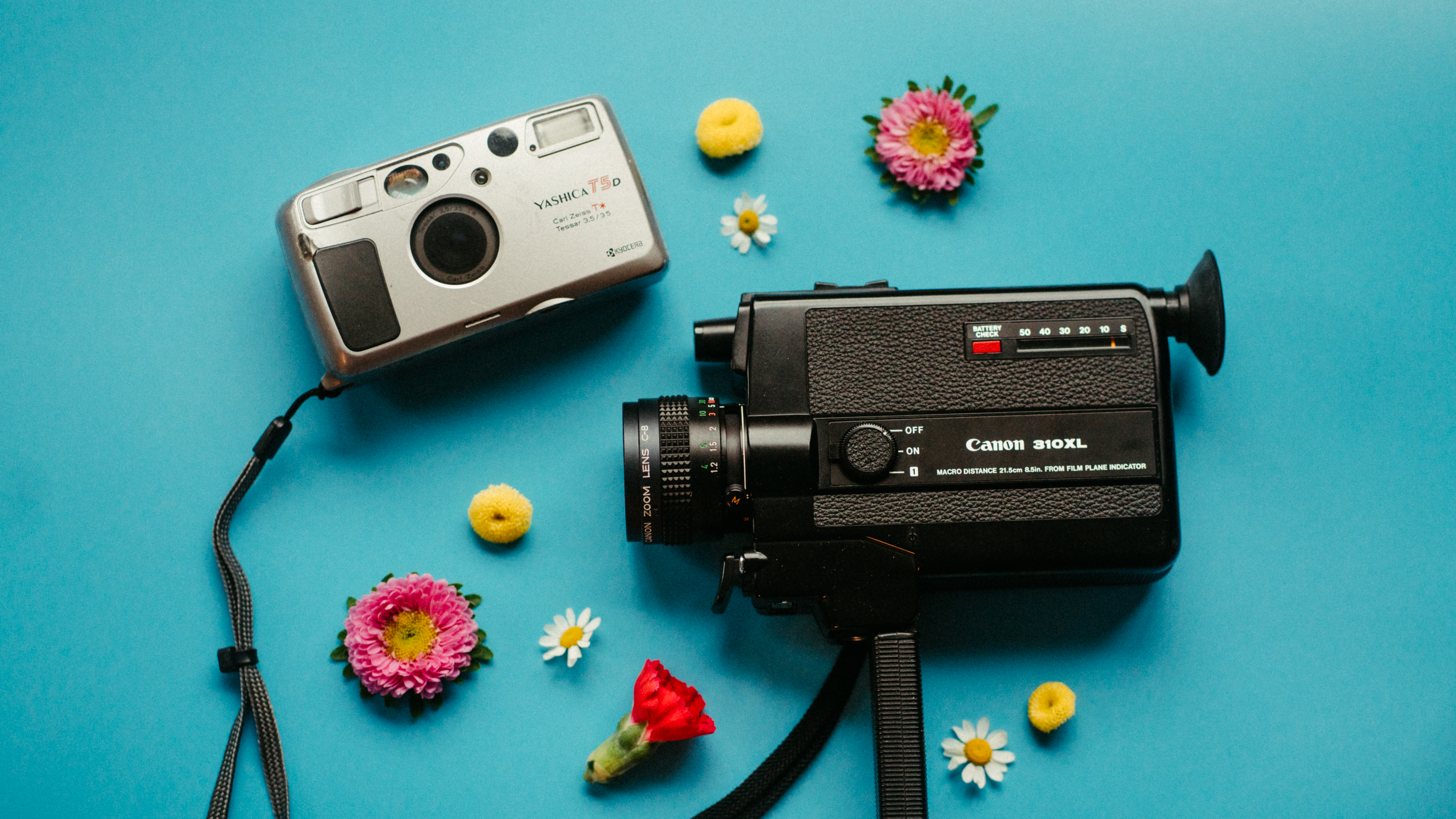 A vintage camera and super 8 camcorder sit on a blue background surrounded by flowers